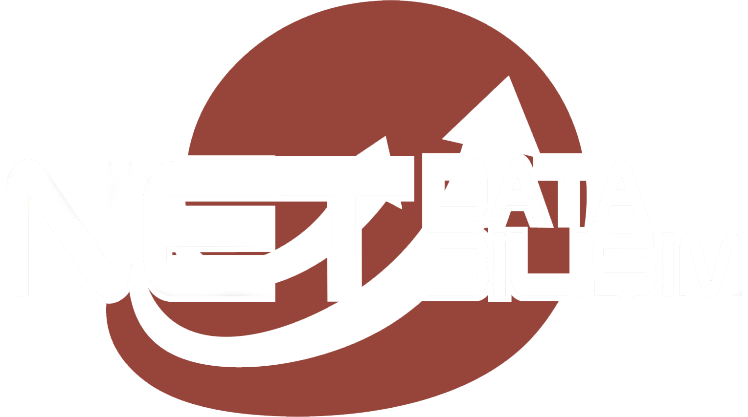 Netdata Bilisim